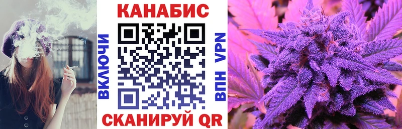купить наркотики сайты  ссылка на мегу вход  Бошки марихуана OG Kush  площадка телеграм  Высоцк 