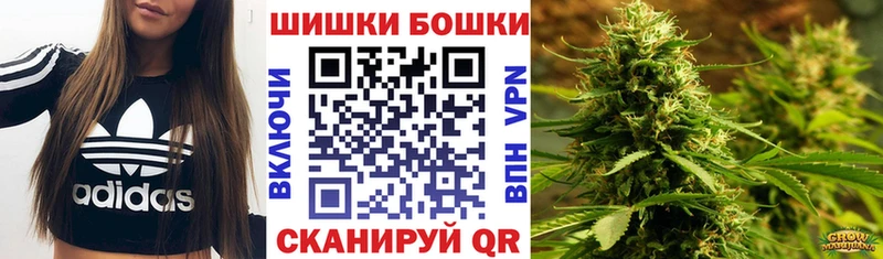Каннабис сатива Высоцк